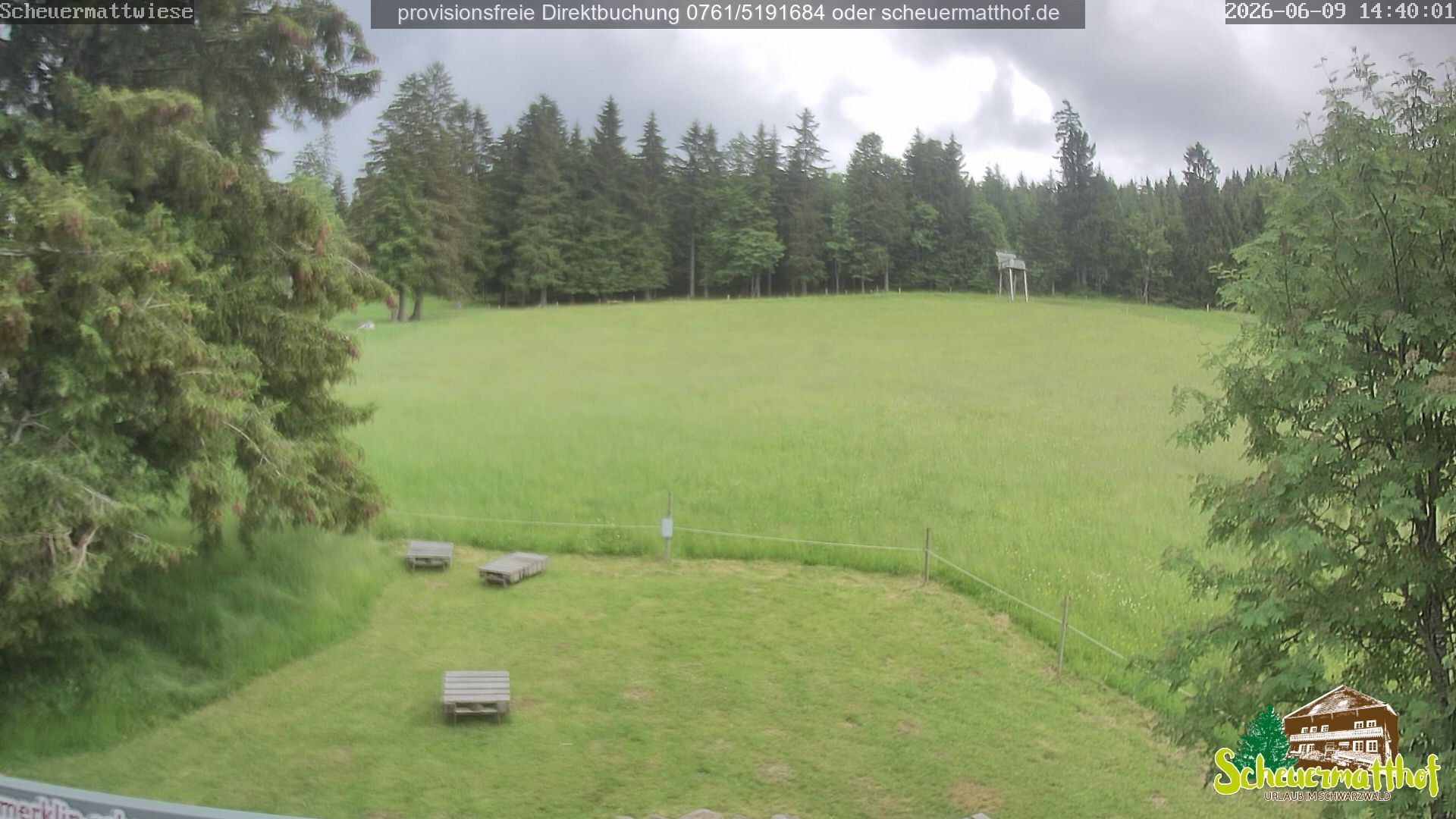 Archiv Foto Webcam Todtnauberg - Scheuermattwiese