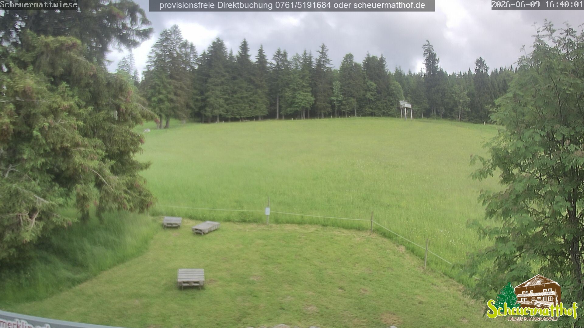 Archiv Foto Webcam Todtnauberg - Scheuermattwiese