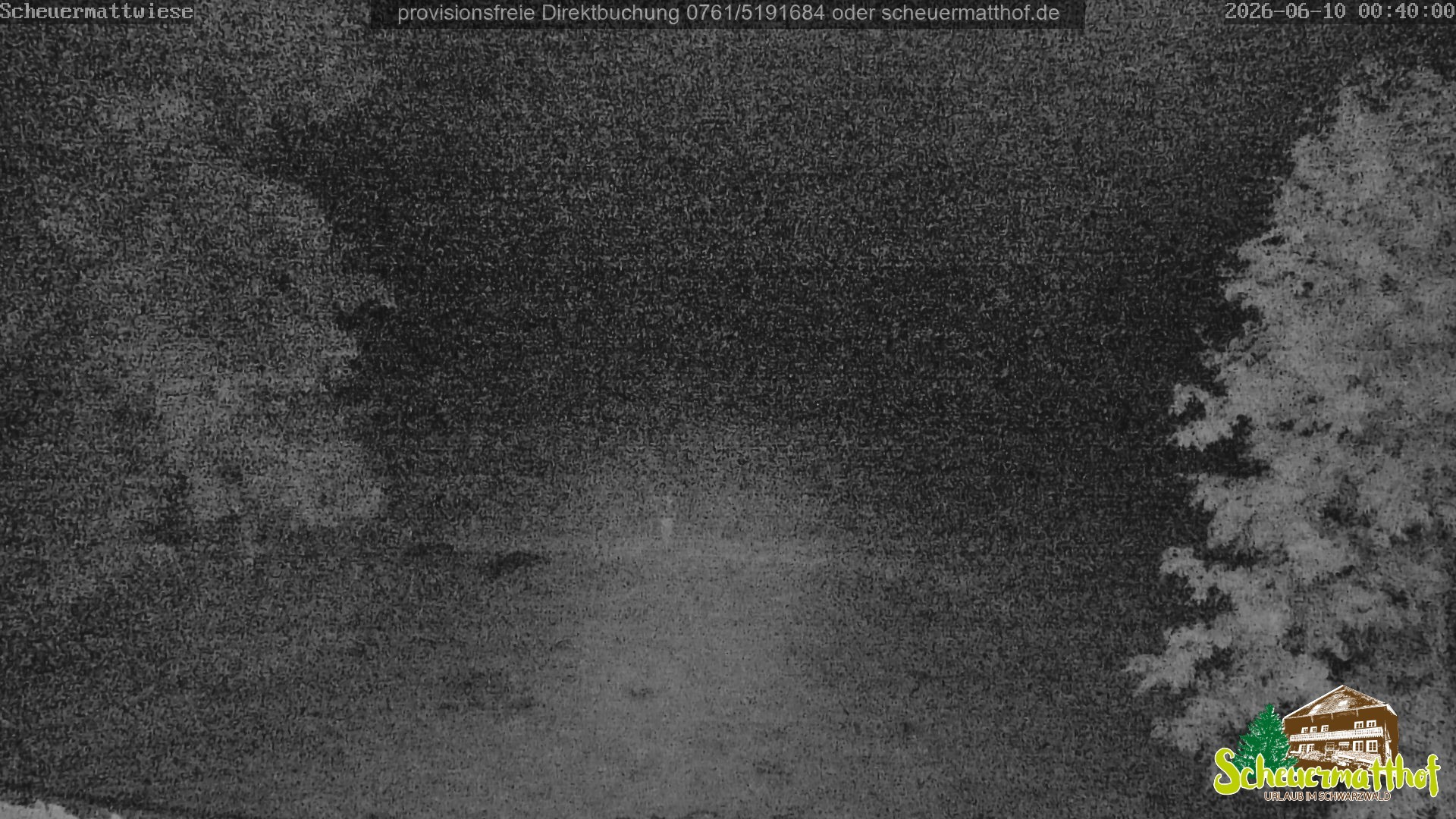 Archiv Foto Webcam Todtnauberg - Scheuermattwiese