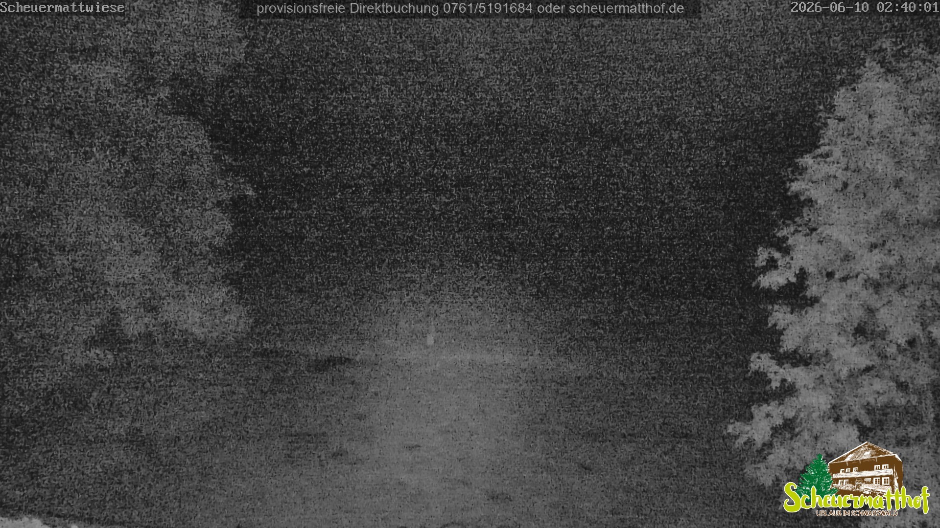 Archiv Foto Webcam Todtnauberg - Scheuermattwiese