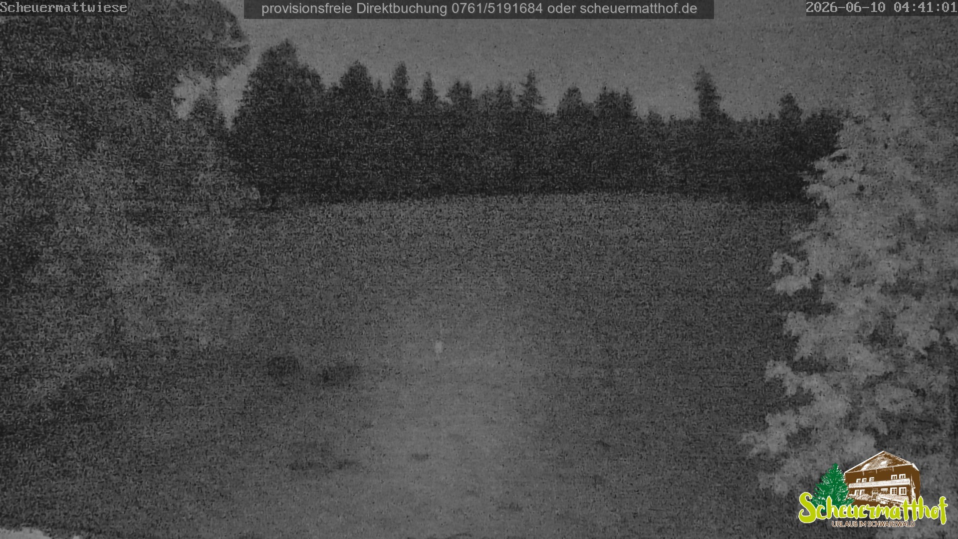 Archiv Foto Webcam Todtnauberg - Scheuermattwiese