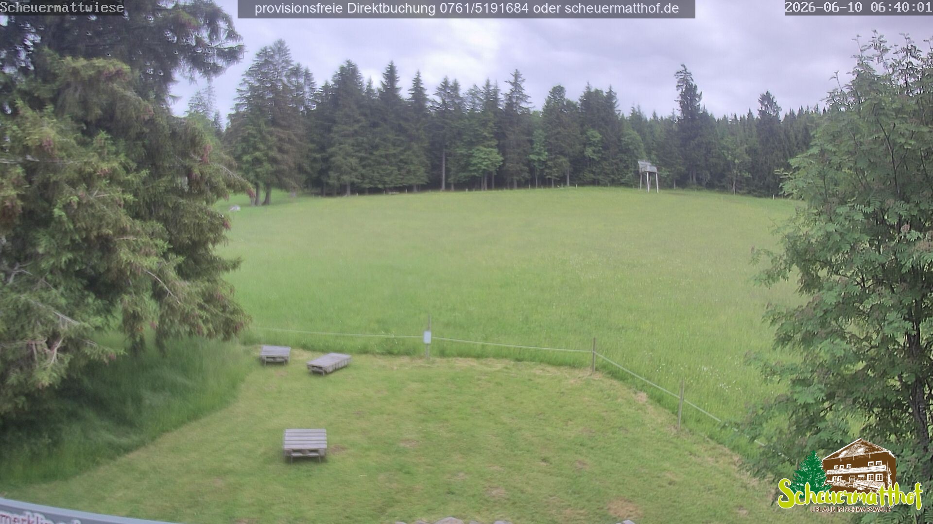 Archiv Foto Webcam Todtnauberg - Scheuermattwiese