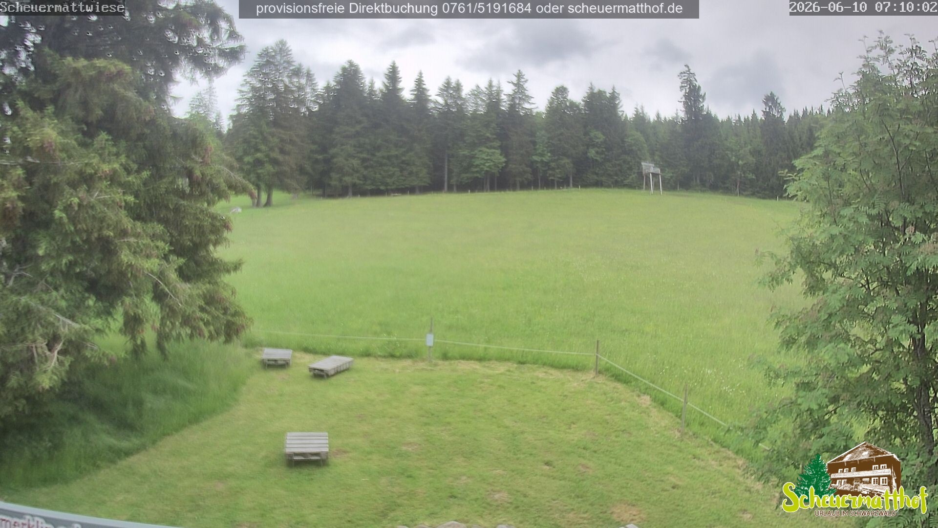 Archiv Foto Webcam Todtnauberg - Scheuermattwiese