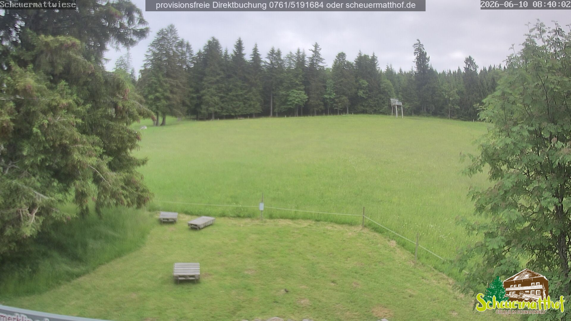 Archiv Foto Webcam Todtnauberg - Scheuermattwiese