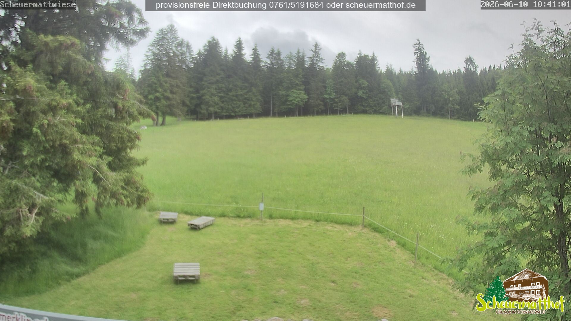 Archiv Foto Webcam Todtnauberg - Scheuermattwiese