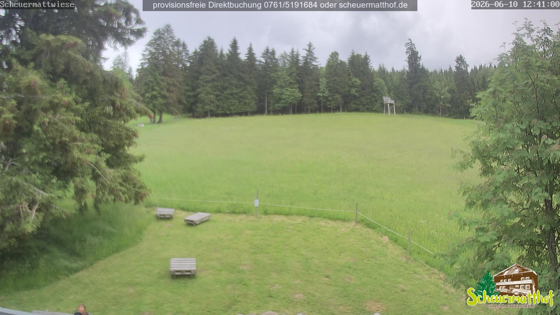 Archiv Foto Webcam Todtnauberg - Scheuermattwiese