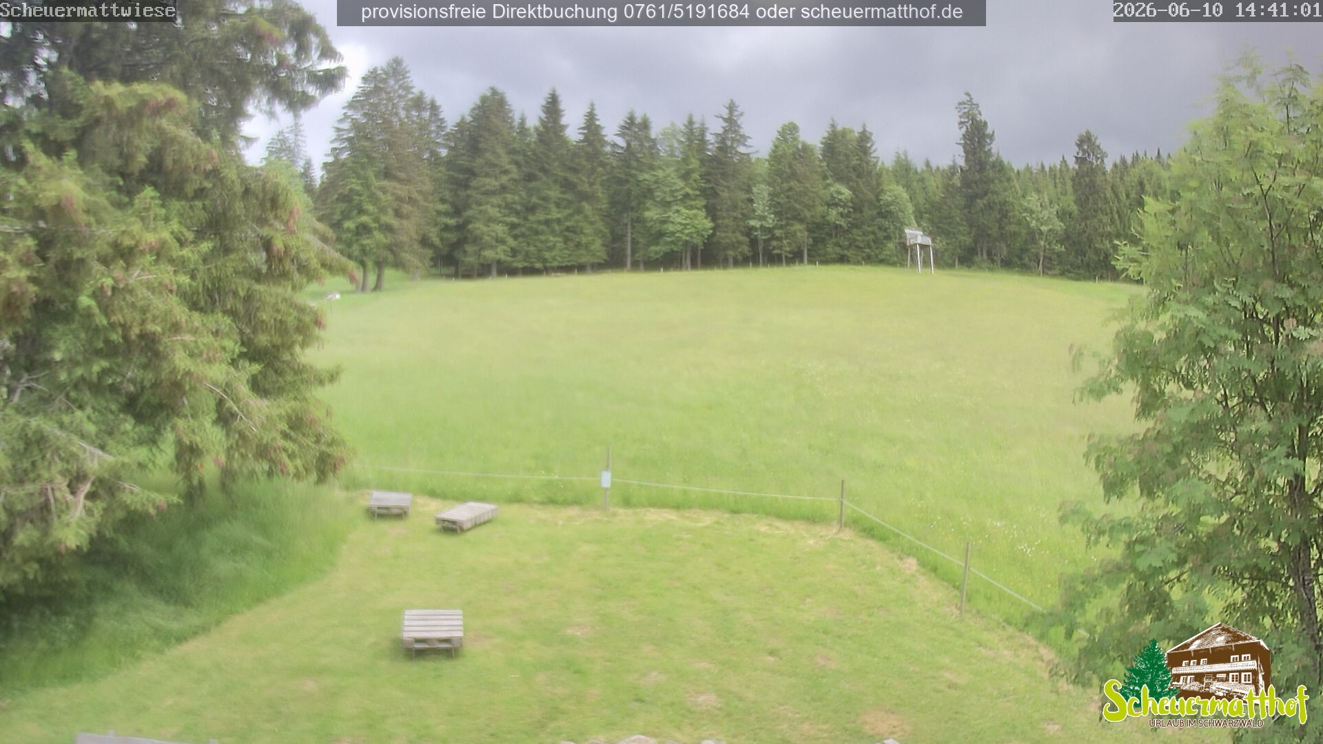 Archiv Foto Webcam Todtnauberg - Scheuermattwiese