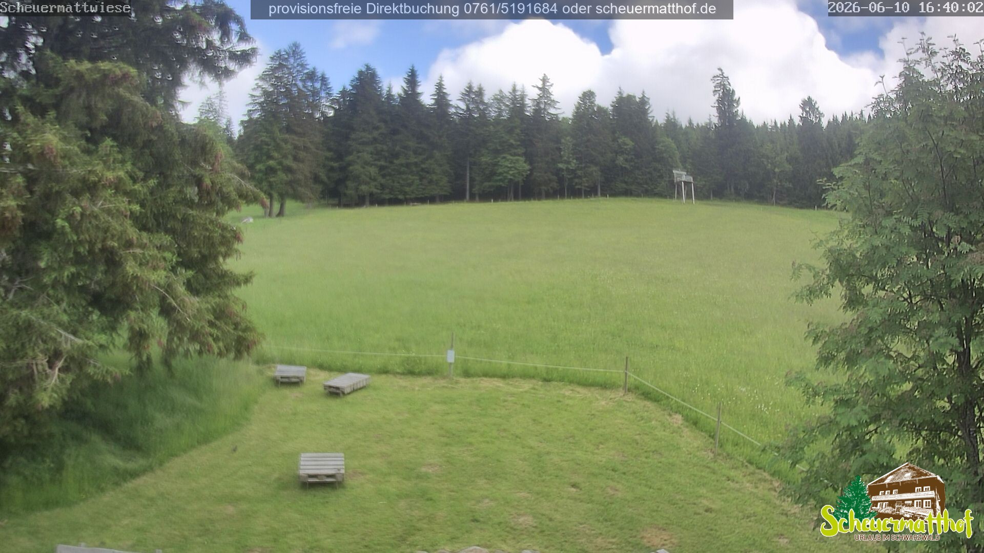 Archiv Foto Webcam Todtnauberg - Scheuermattwiese