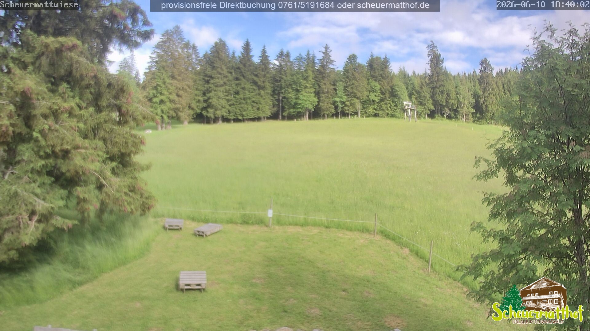 Archiv Foto Webcam Todtnauberg - Scheuermattwiese