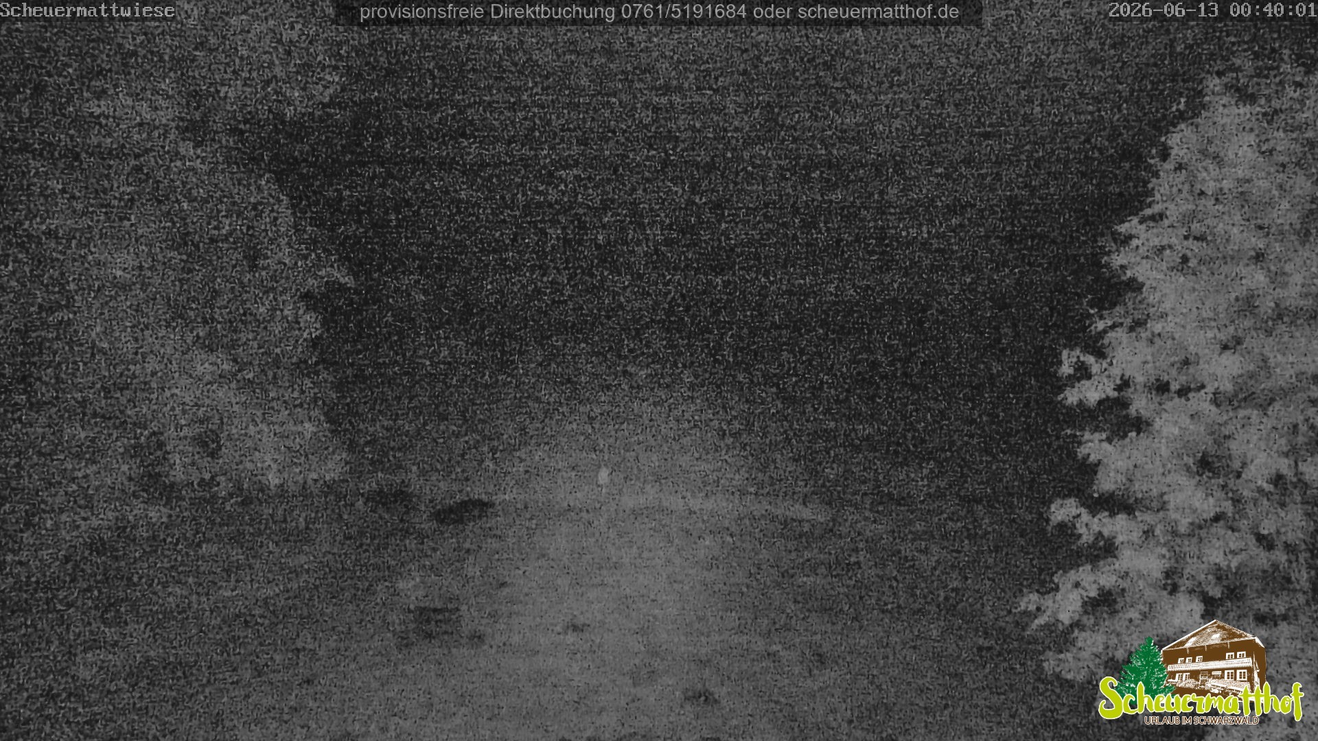 Archived image Webcam Todtnauberg - Scheuermatthof