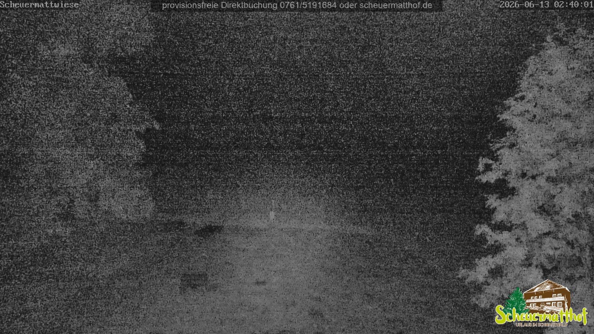 Archived image Webcam Todtnauberg - Scheuermatthof