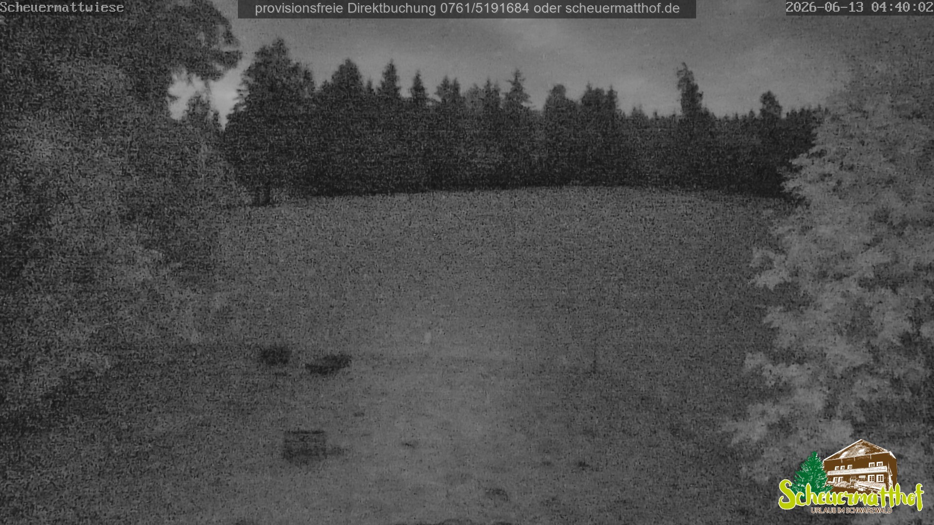 Archived image Webcam Todtnauberg - Scheuermatthof