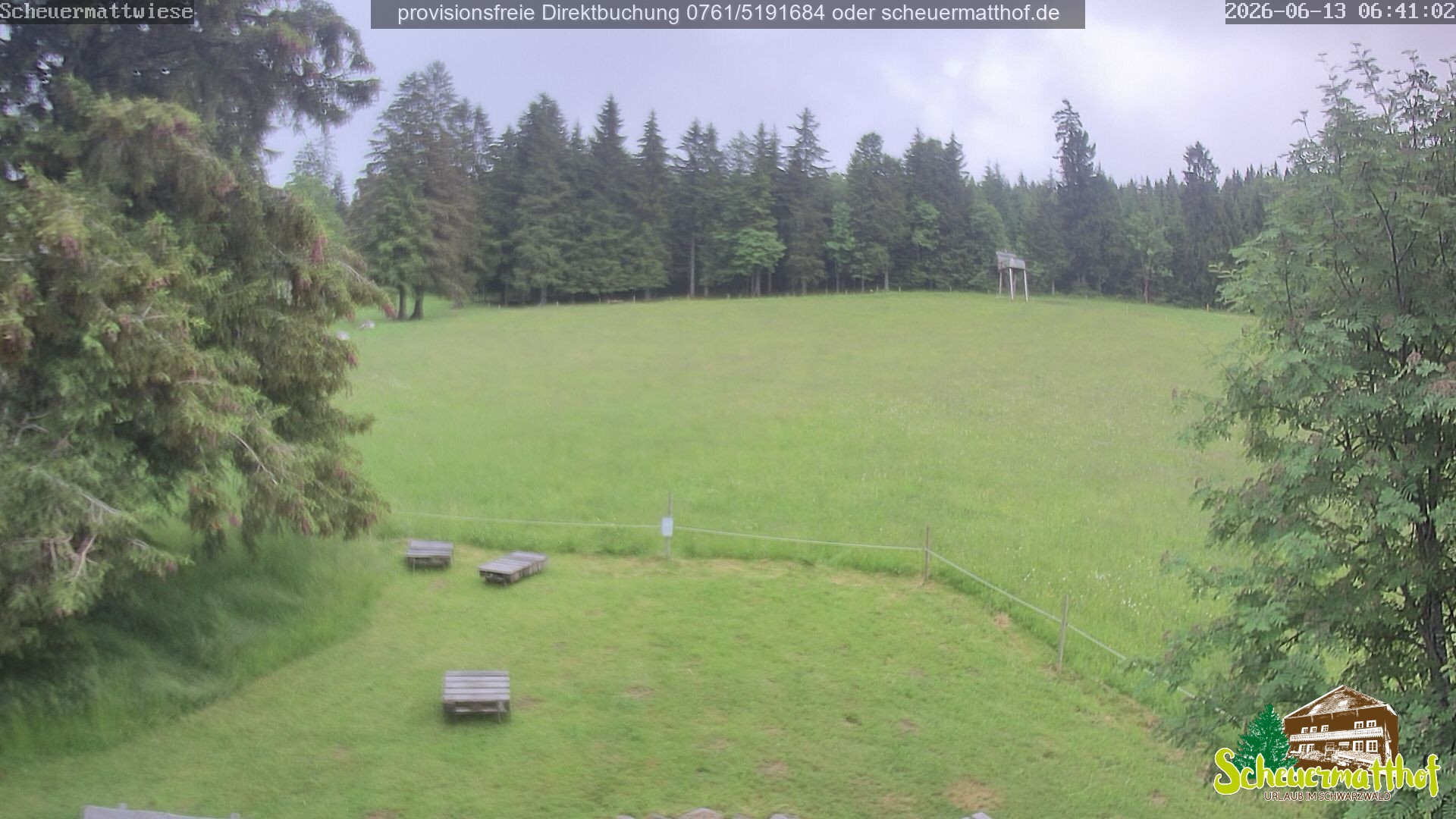 Archived image Webcam Todtnauberg - Scheuermatthof