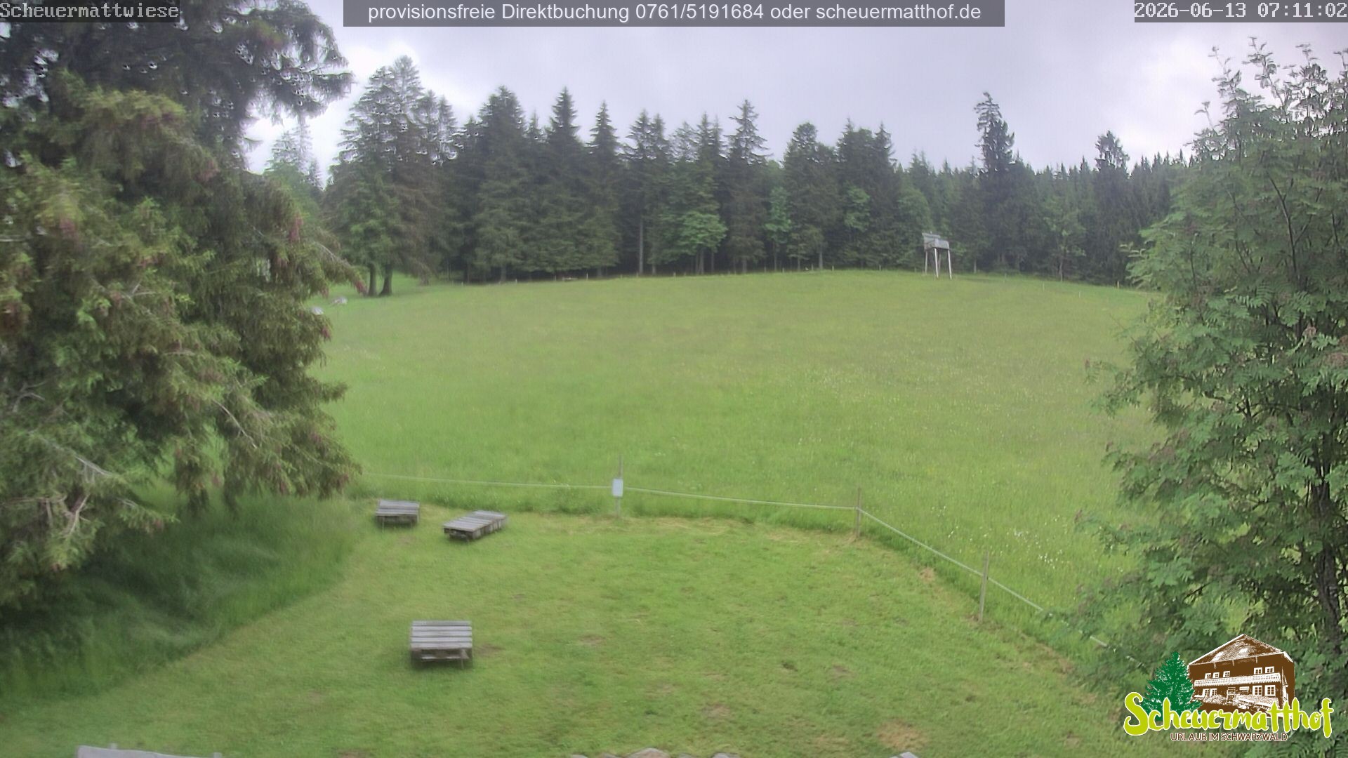 Archived image Webcam Todtnauberg - Scheuermatthof