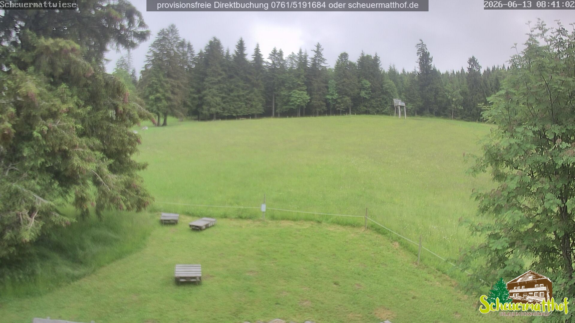 Archived image Webcam Todtnauberg - Scheuermatthof