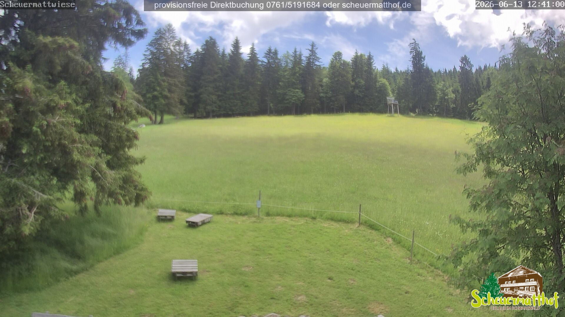 Archived image Webcam Todtnauberg - Scheuermatthof