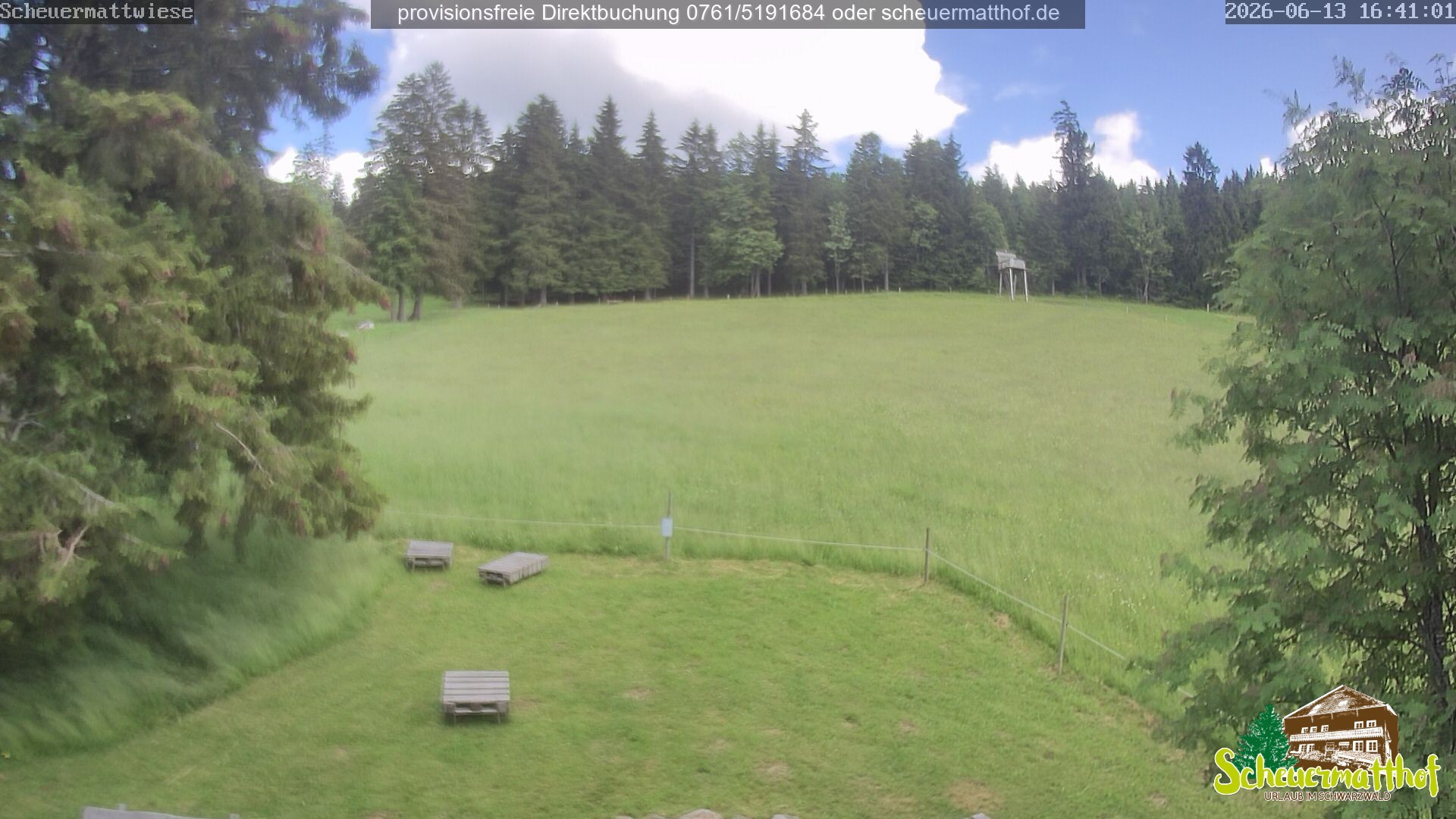 Archived image Webcam Todtnauberg - Scheuermatthof