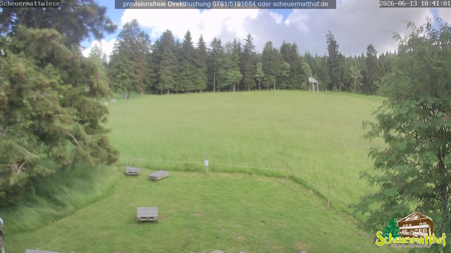 Archived image Webcam Todtnauberg - Scheuermatthof