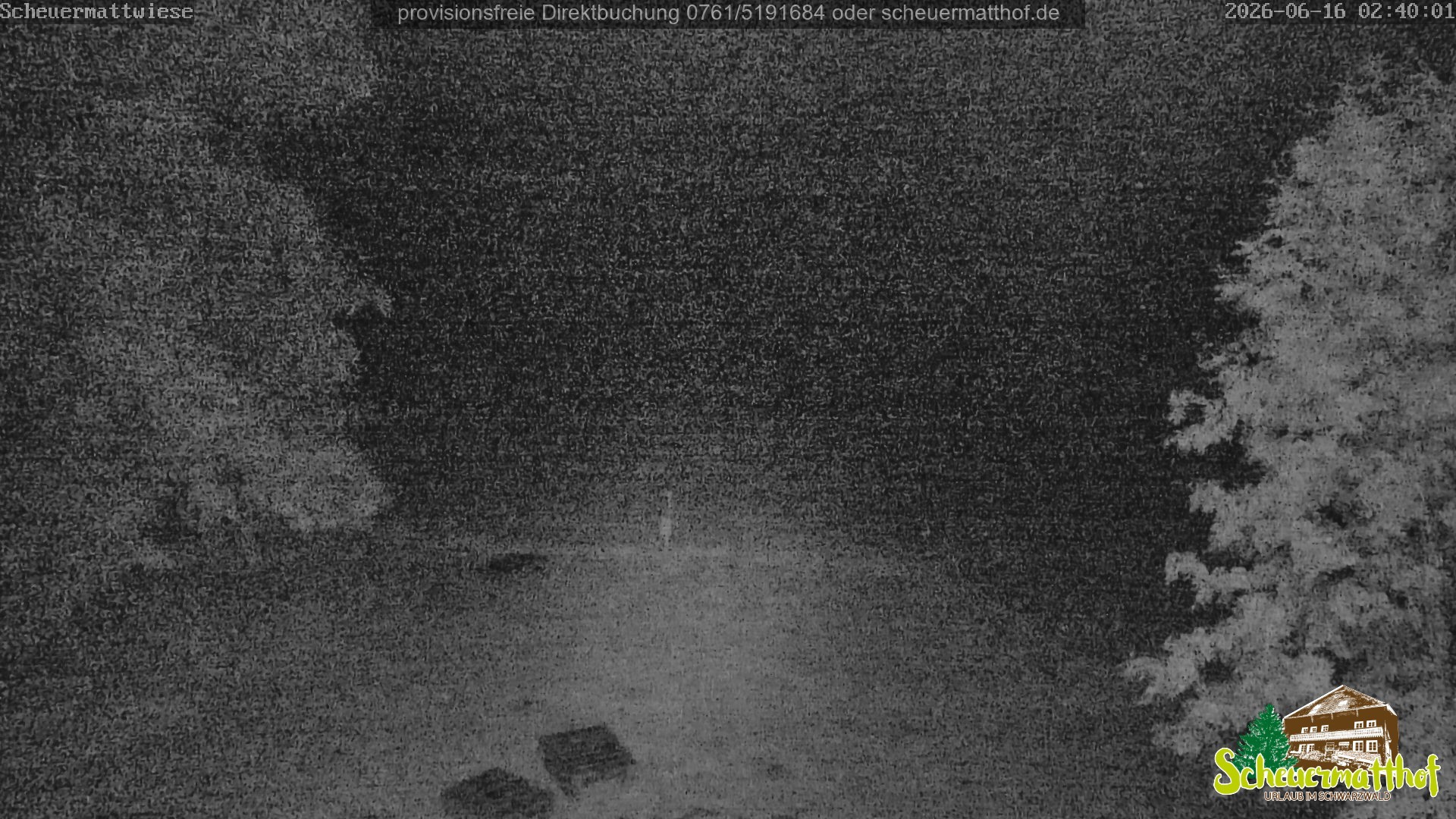 Archiv Foto Webcam Todtnauberg - Scheuermattwiese