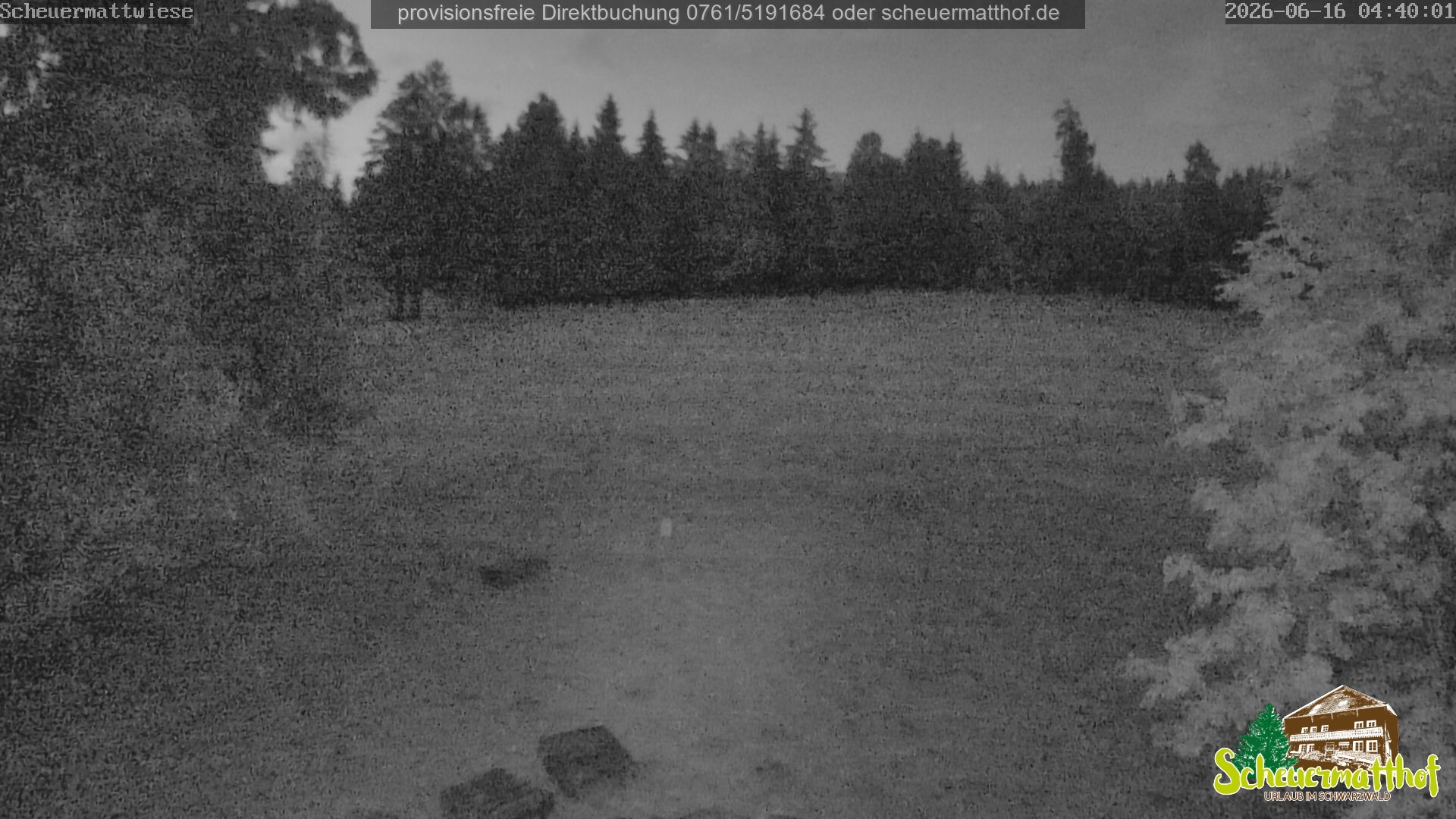 Archiv Foto Webcam Todtnauberg - Scheuermattwiese