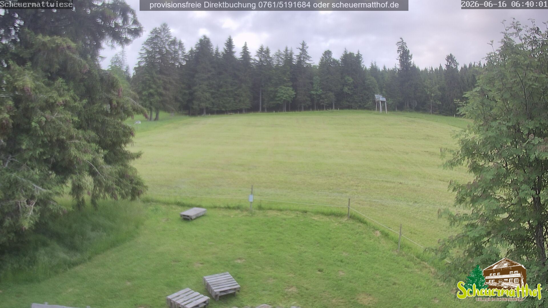 Archiv Foto Webcam Todtnauberg - Scheuermattwiese