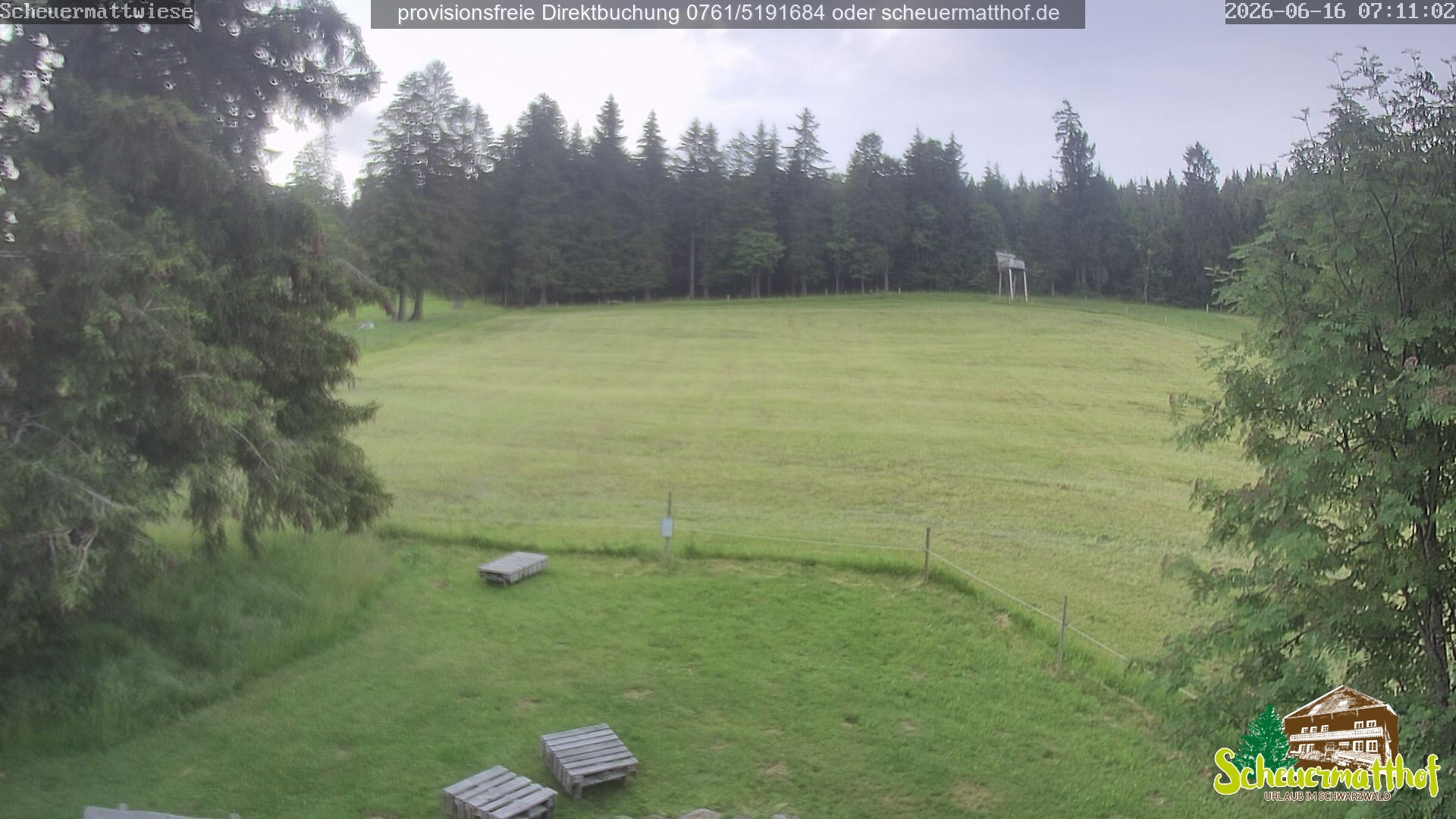 Archiv Foto Webcam Todtnauberg - Scheuermattwiese