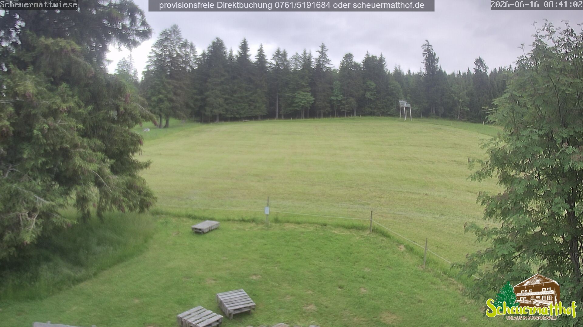 Archiv Foto Webcam Todtnauberg - Scheuermattwiese