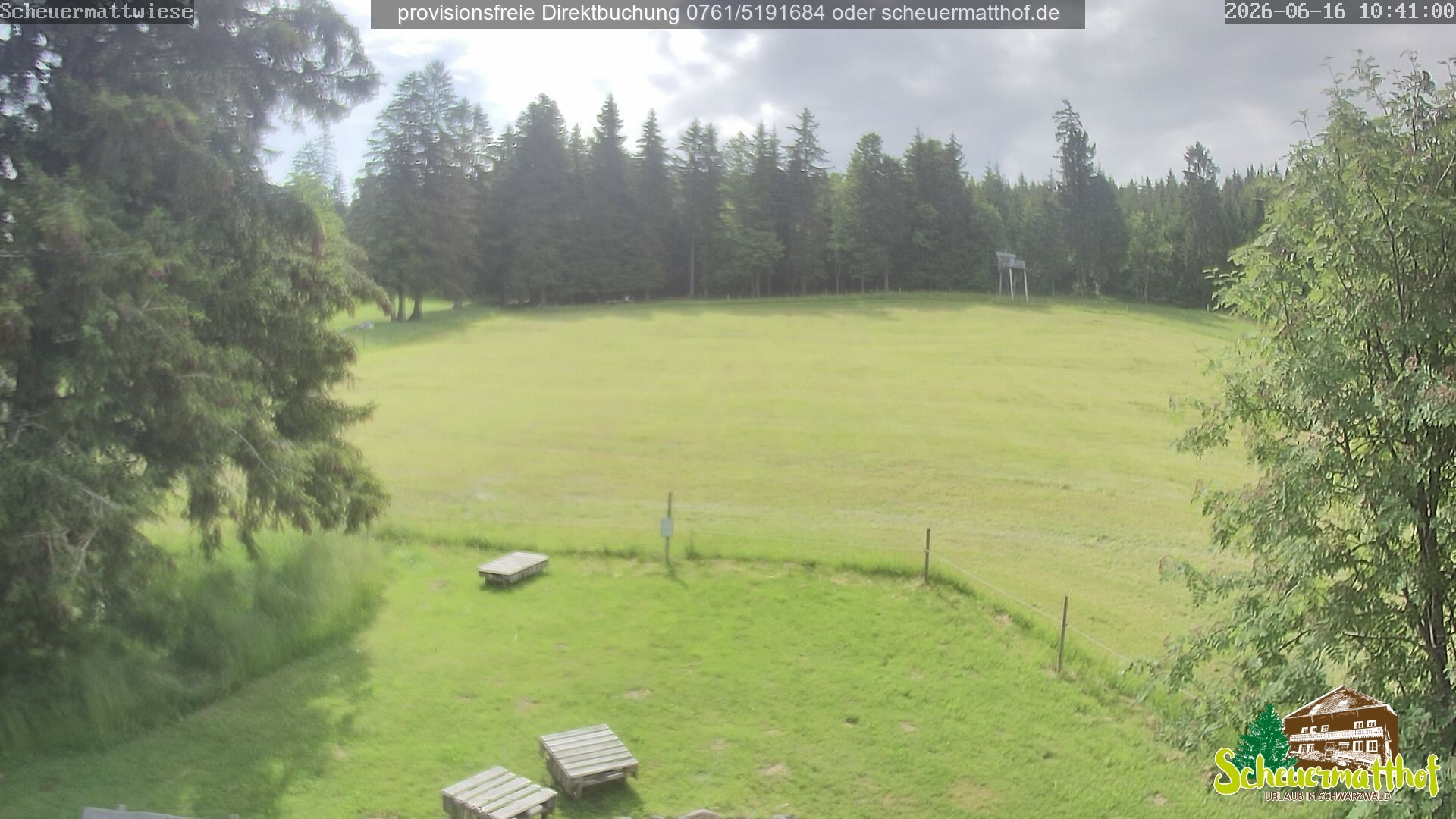 Archiv Foto Webcam Todtnauberg - Scheuermattwiese