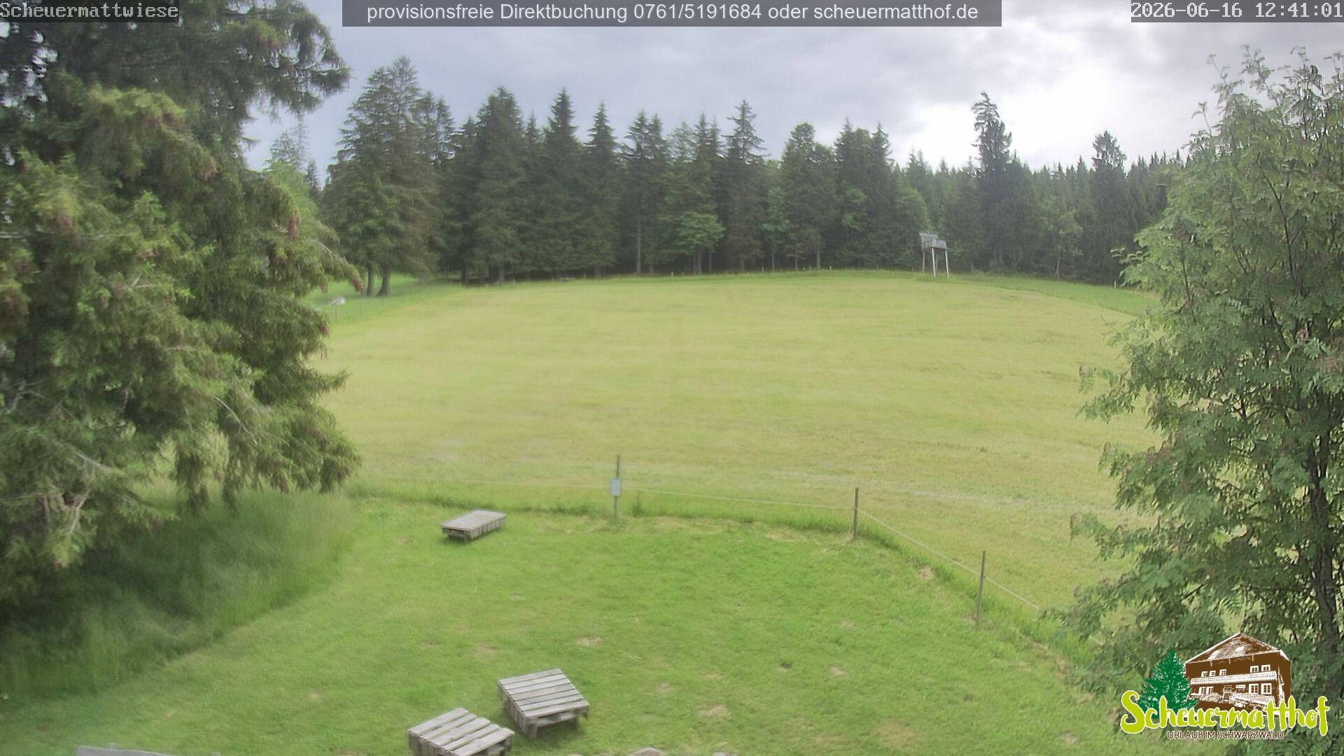 Archiv Foto Webcam Todtnauberg - Scheuermattwiese