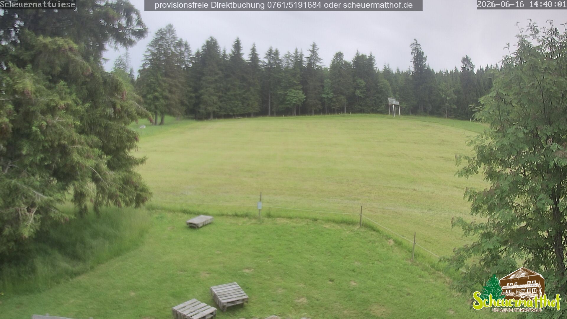 Archiv Foto Webcam Todtnauberg - Scheuermattwiese