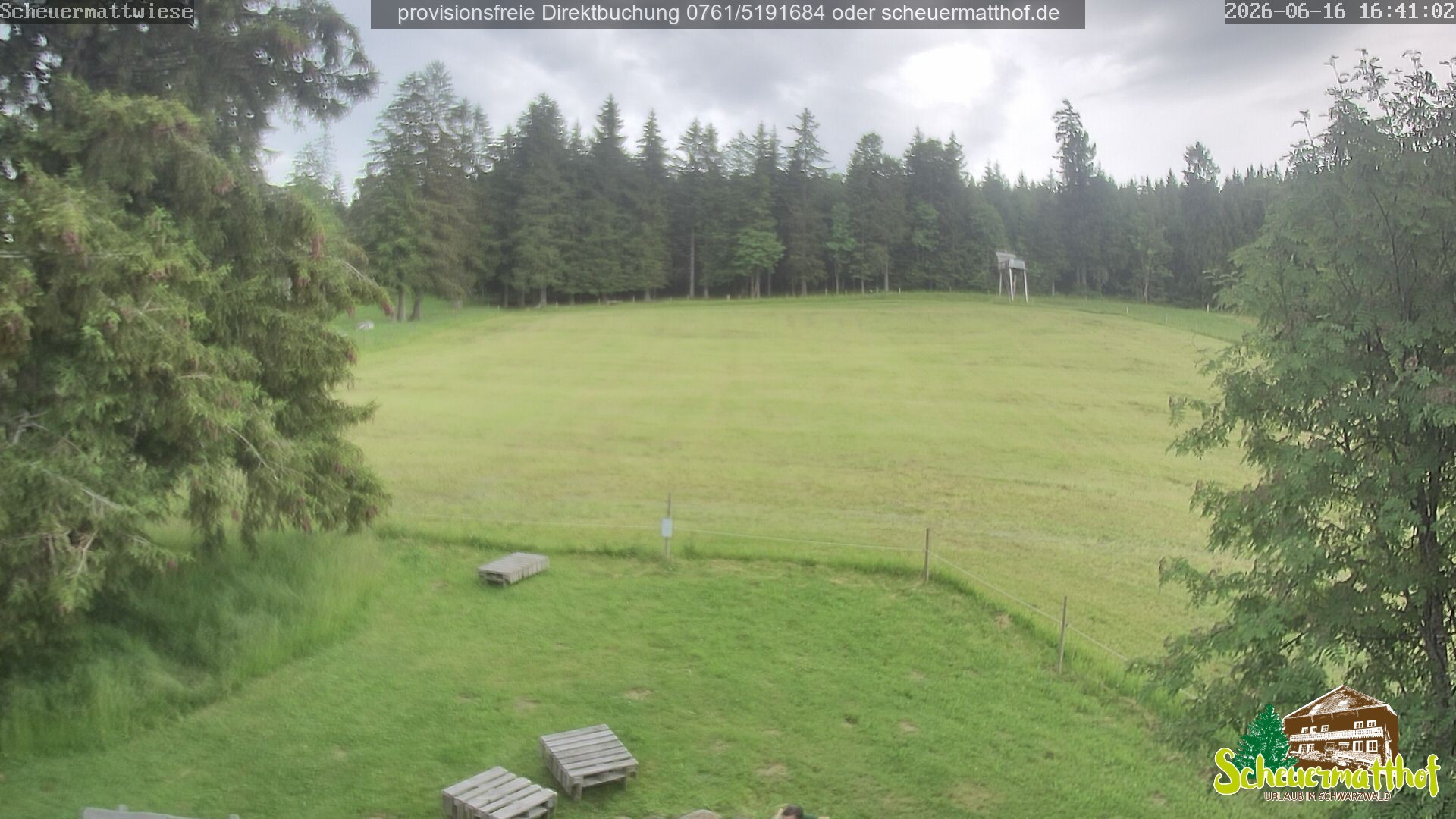 Archiv Foto Webcam Todtnauberg - Scheuermattwiese