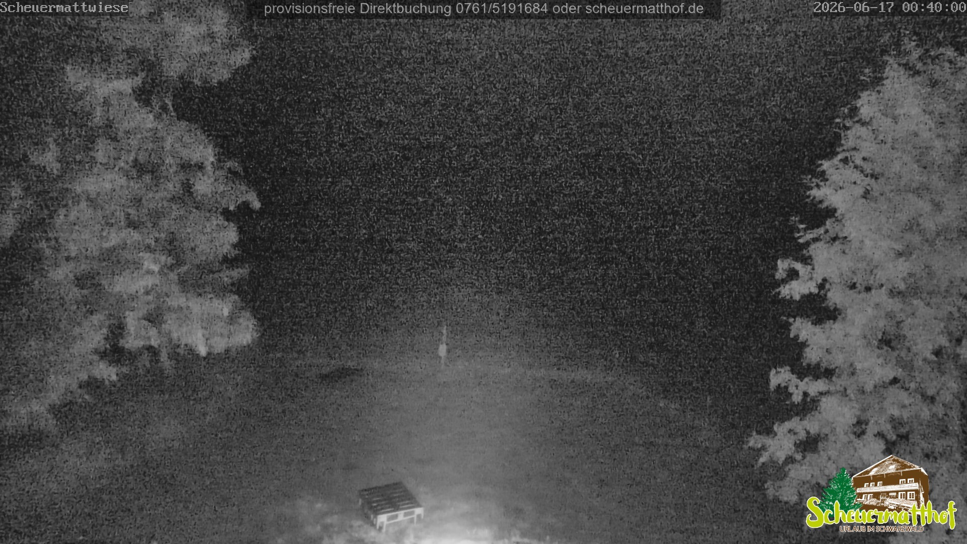 Archiv Foto Webcam Todtnauberg - Scheuermattwiese