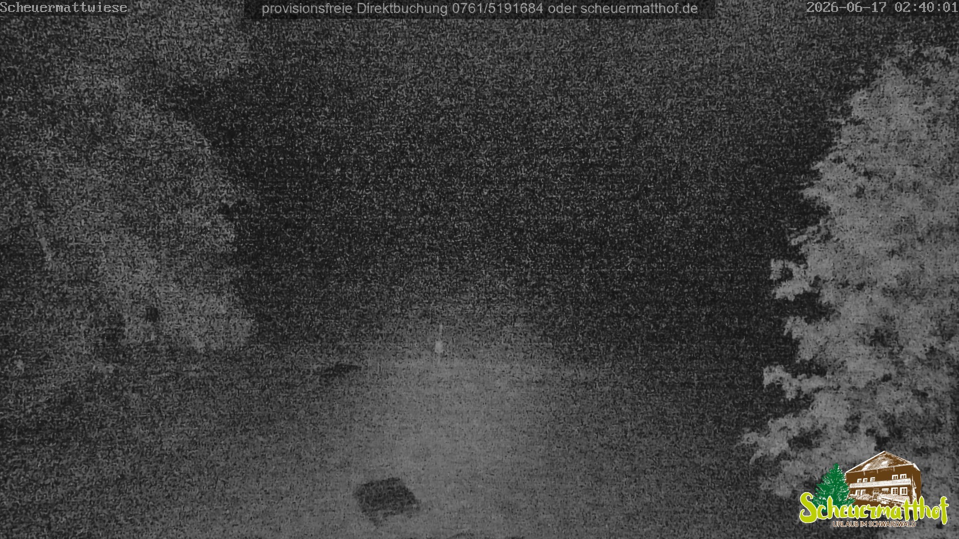 Archiv Foto Webcam Todtnauberg - Scheuermattwiese