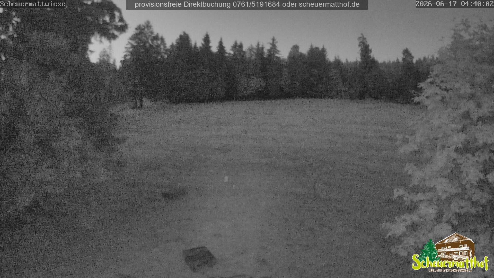 Archiv Foto Webcam Todtnauberg - Scheuermattwiese