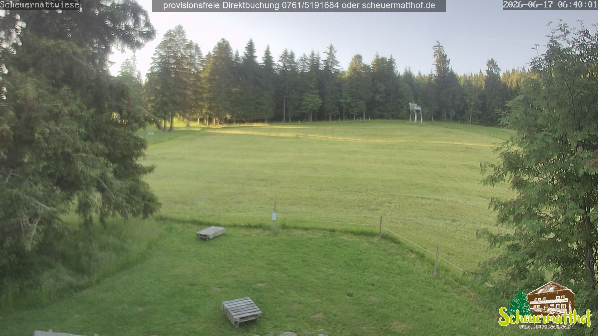 Archiv Foto Webcam Todtnauberg - Scheuermattwiese