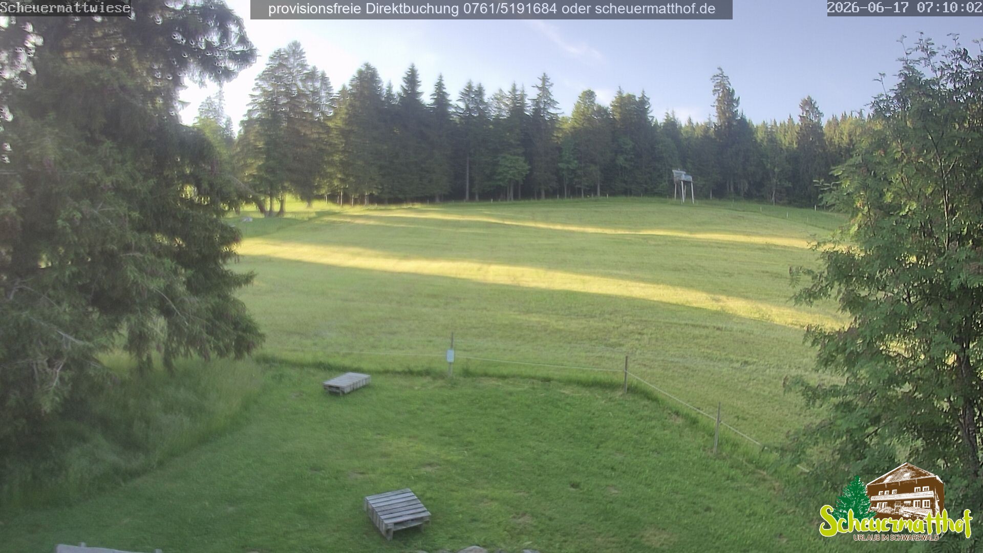 Archiv Foto Webcam Todtnauberg - Scheuermattwiese