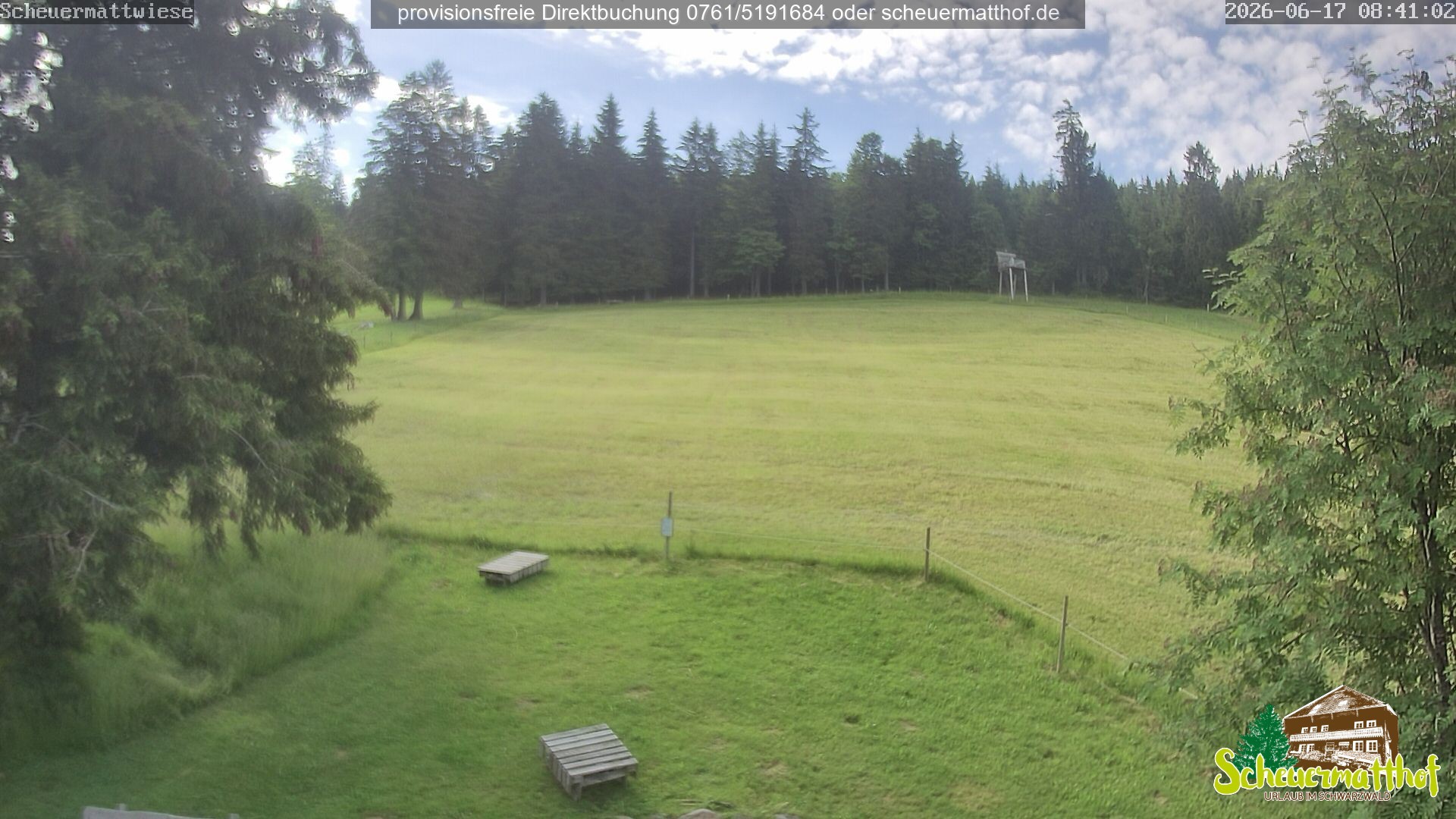 Archiv Foto Webcam Todtnauberg - Scheuermattwiese