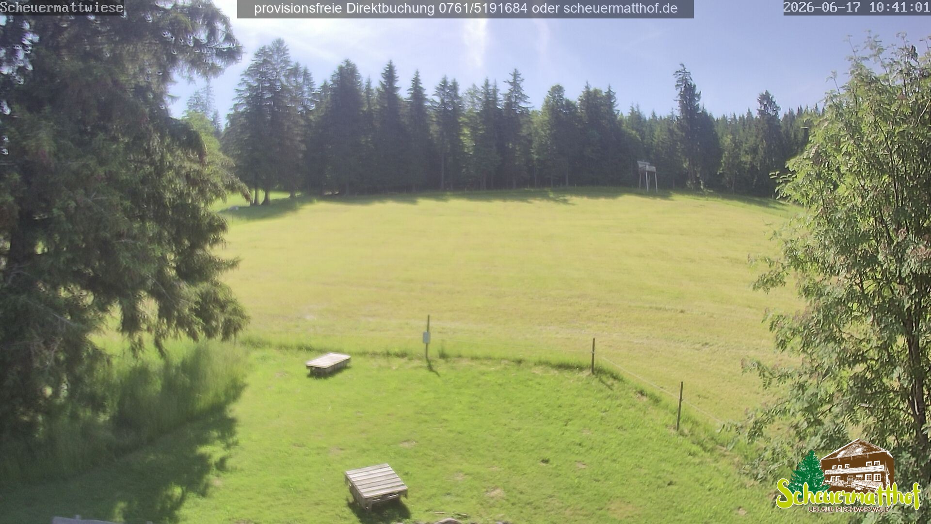 Archiv Foto Webcam Todtnauberg - Scheuermattwiese