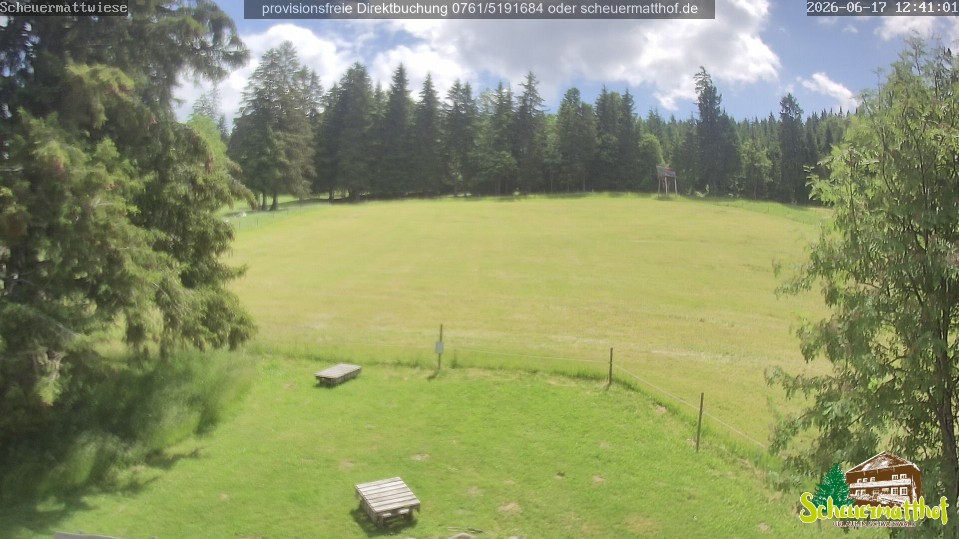 Archiv Foto Webcam Todtnauberg - Scheuermattwiese