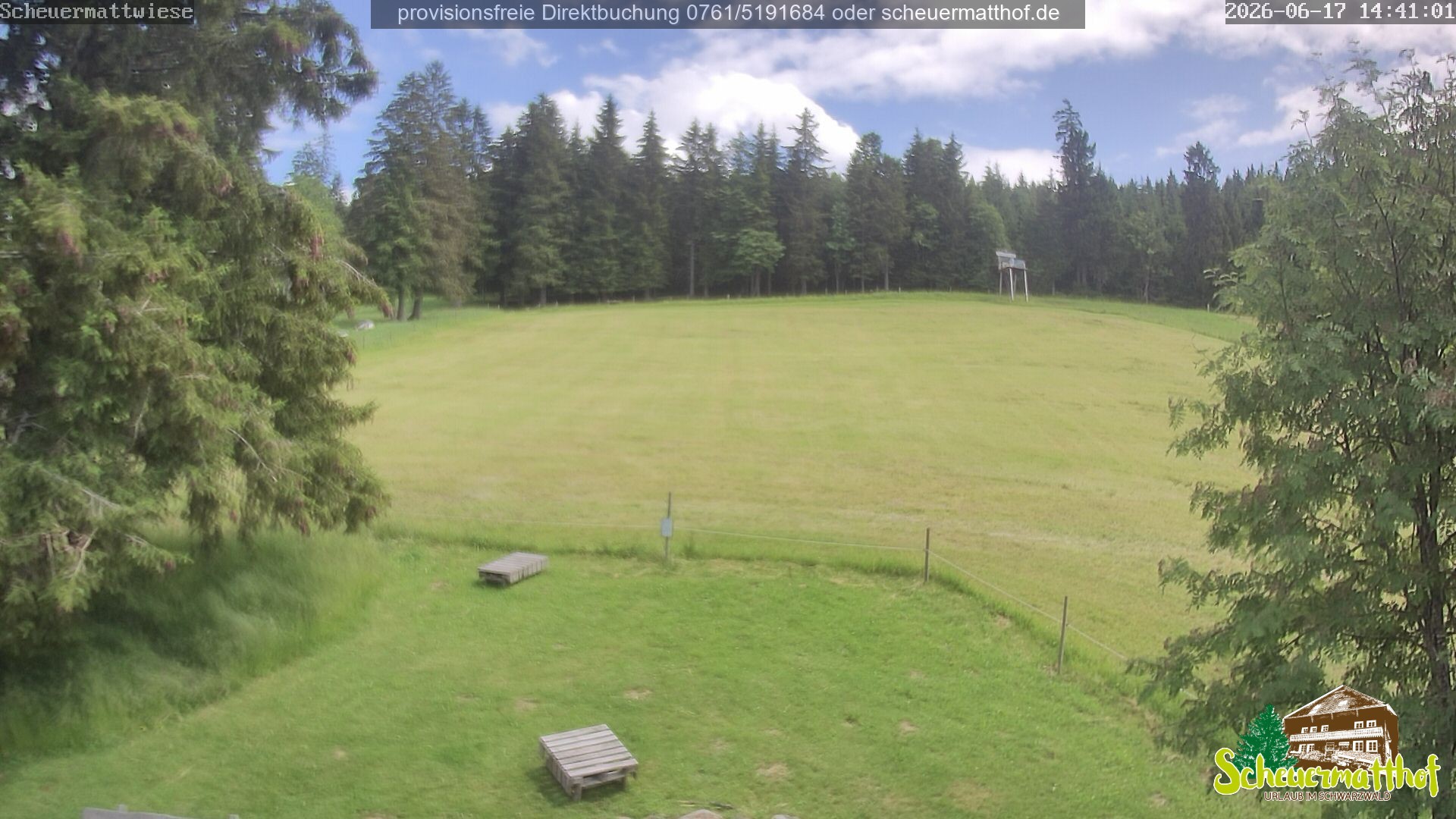 Archiv Foto Webcam Todtnauberg - Scheuermattwiese