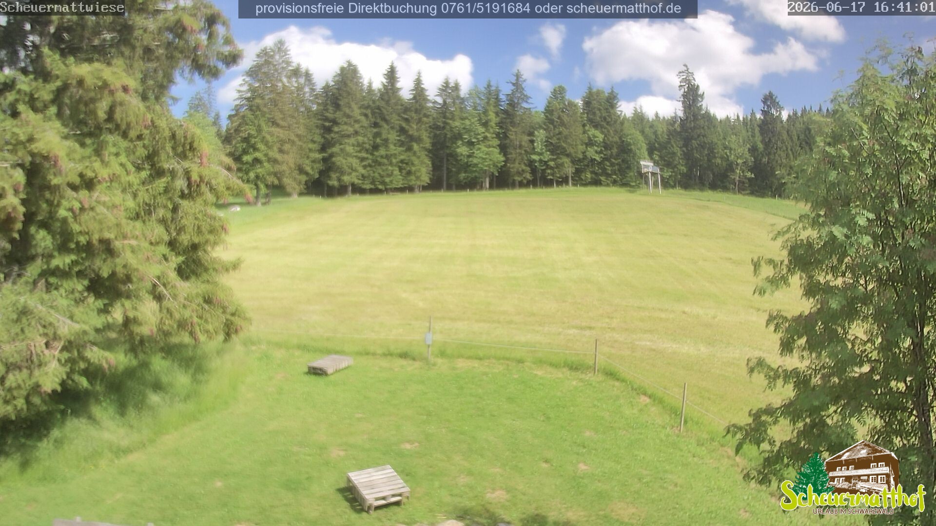 Archiv Foto Webcam Todtnauberg - Scheuermattwiese