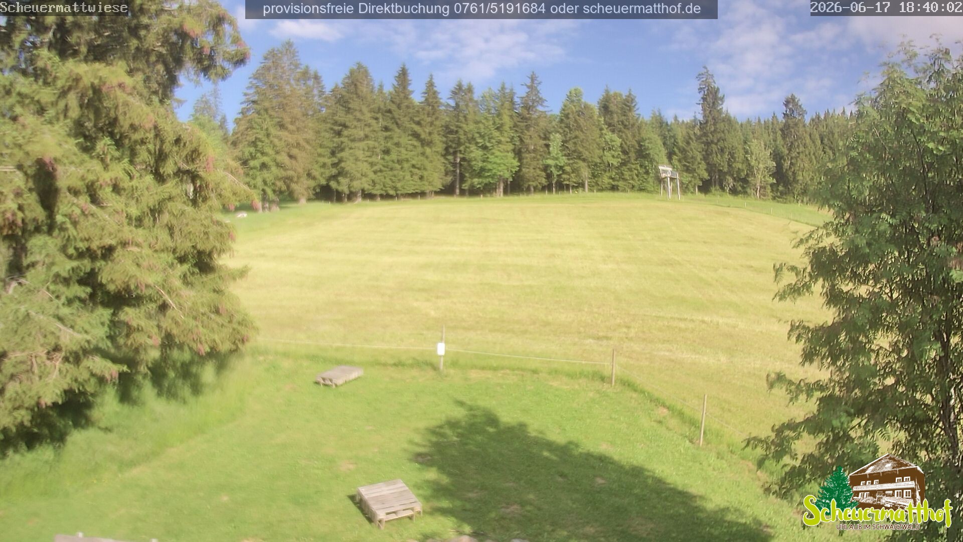 Archiv Foto Webcam Todtnauberg - Scheuermattwiese