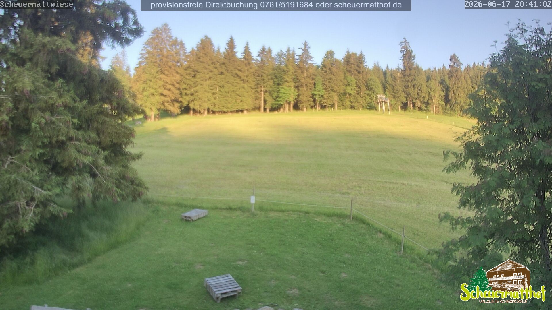 Archiv Foto Webcam Todtnauberg - Scheuermattwiese