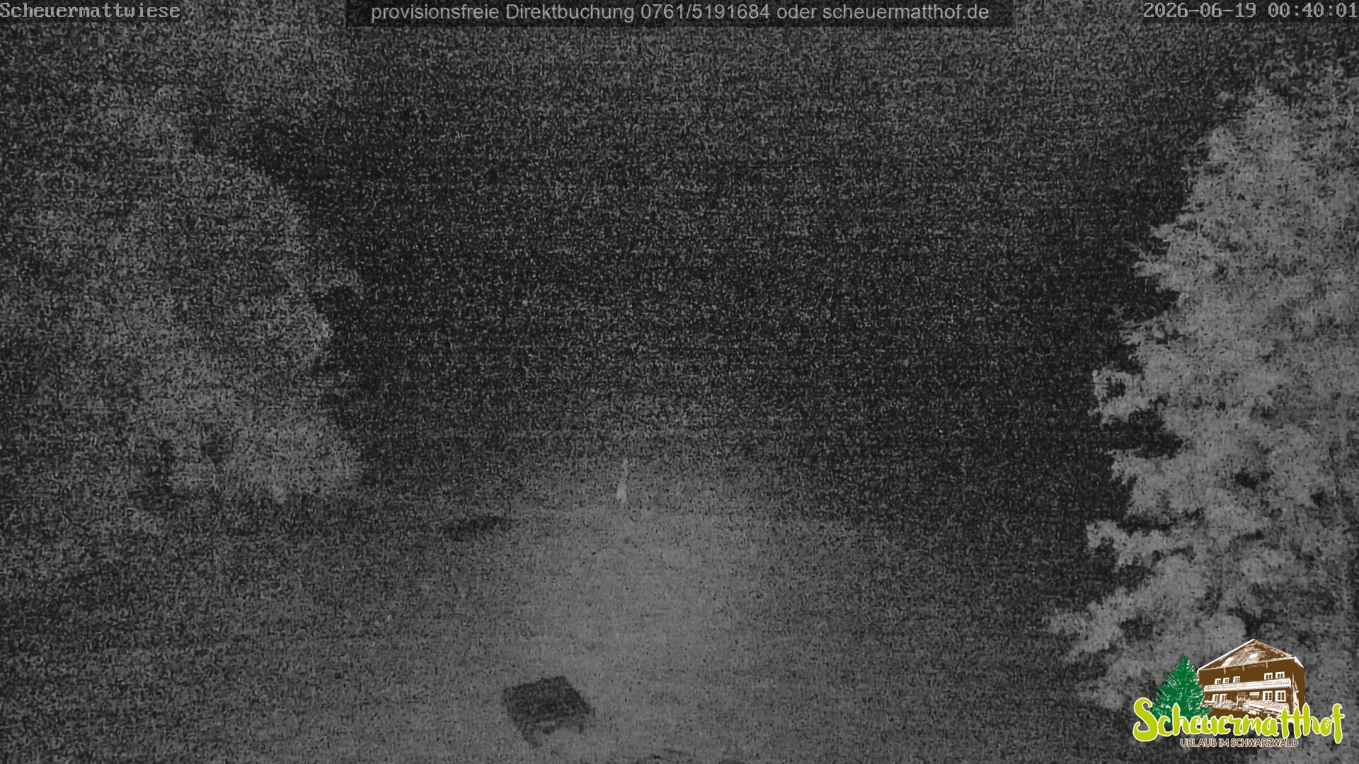 Archiv Foto Webcam Todtnauberg - Scheuermattwiese