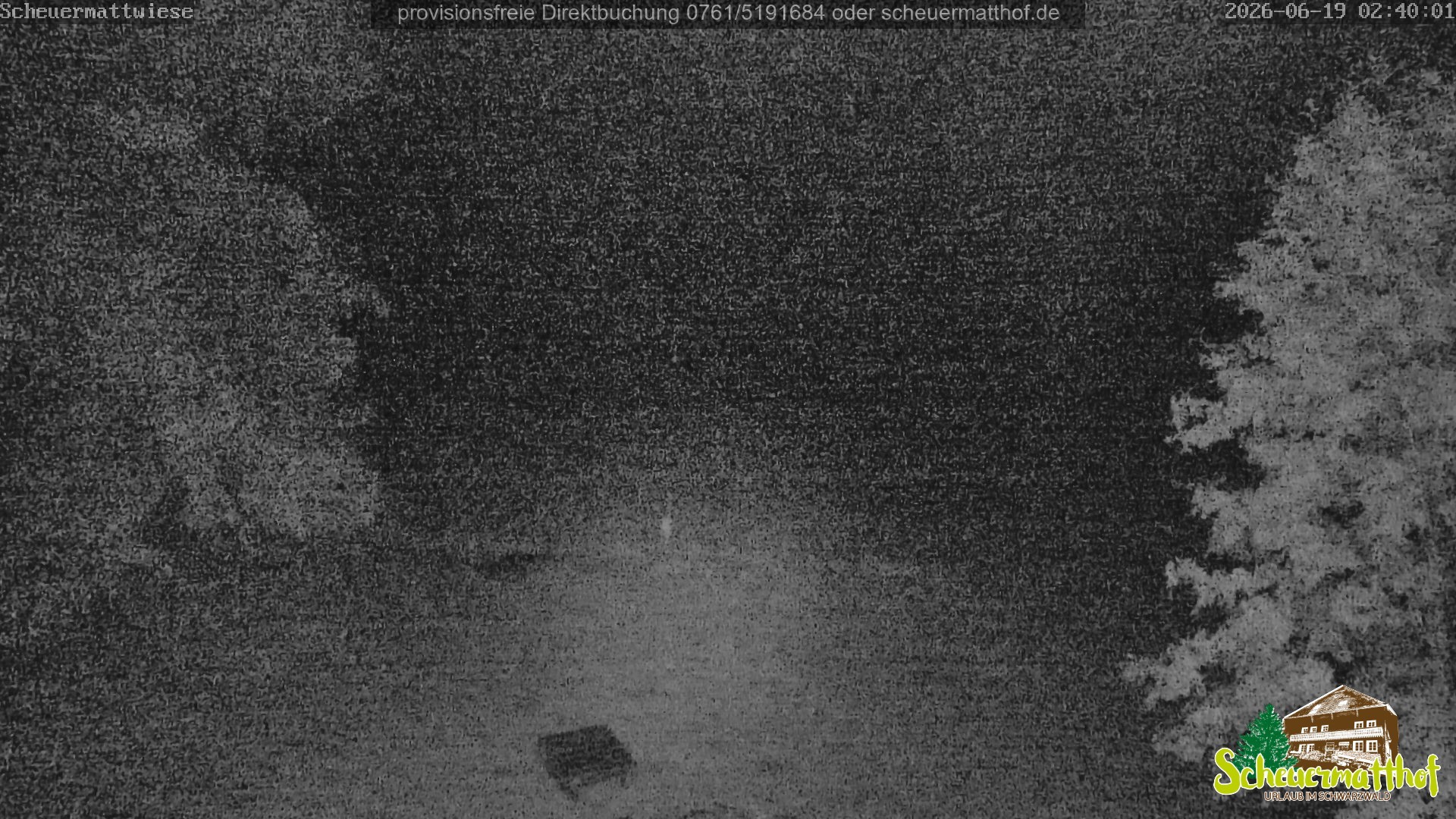 Archiv Foto Webcam Todtnauberg - Scheuermattwiese
