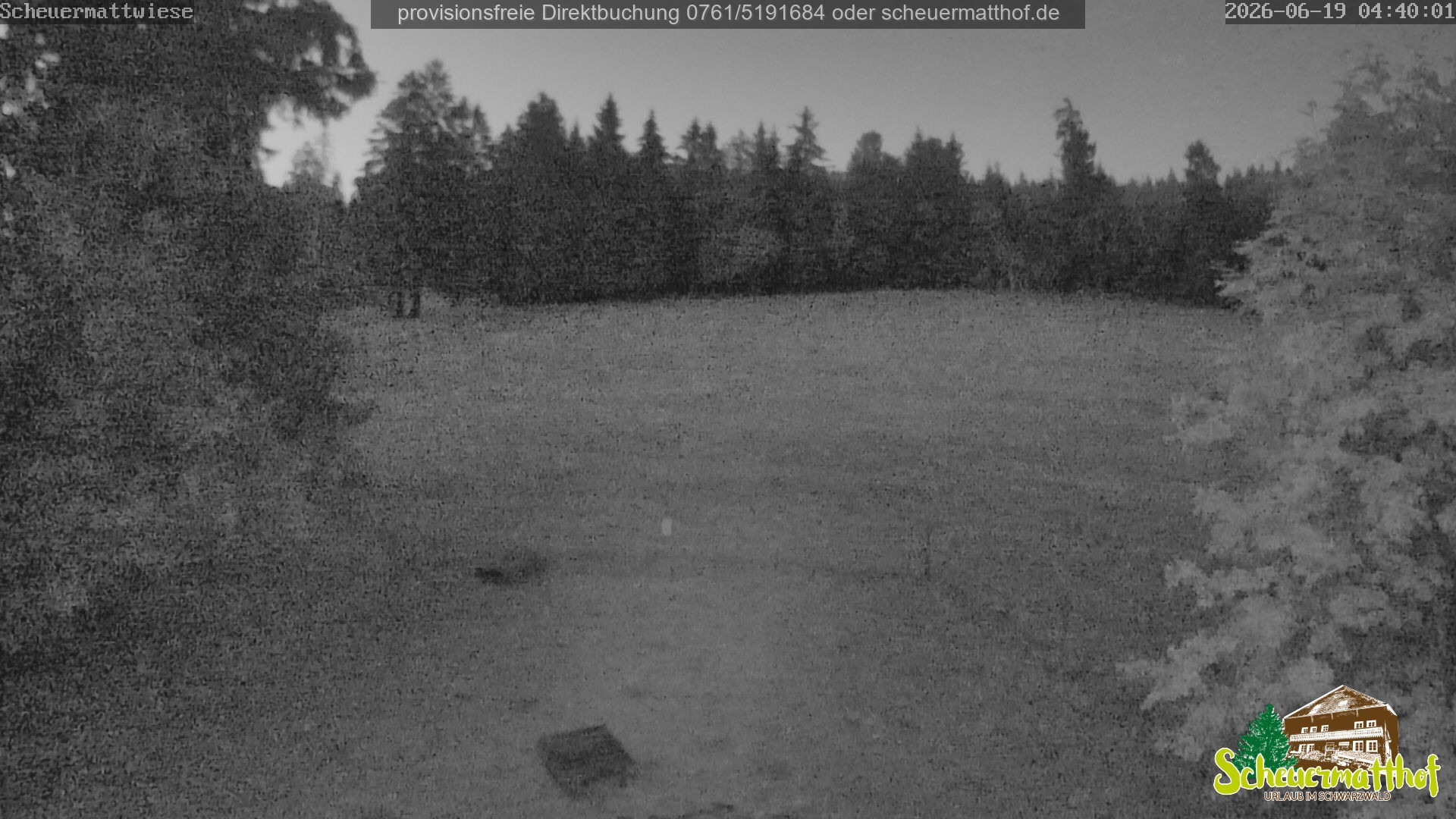 Archived image Webcam Todtnauberg - Scheuermatthof