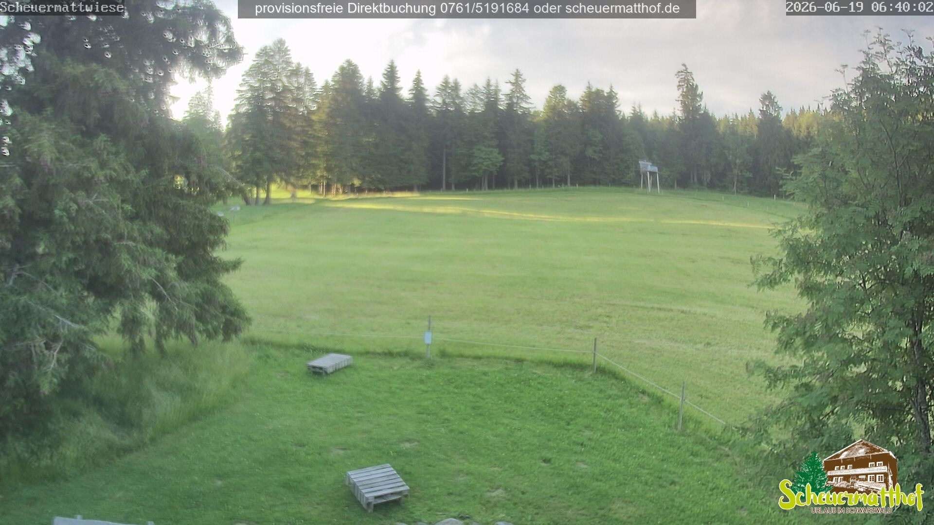 Archived image Webcam Todtnauberg - Scheuermatthof