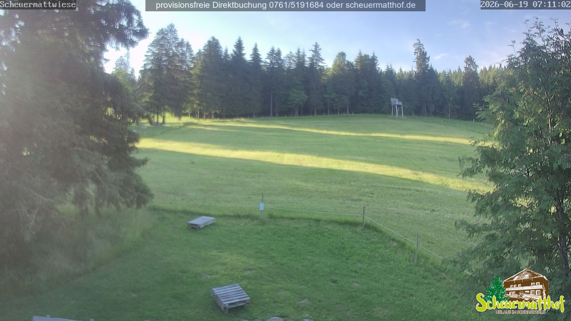 Archiv Foto Webcam Todtnauberg - Scheuermattwiese