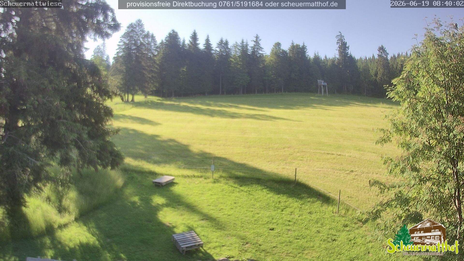 Archiv Foto Webcam Todtnauberg - Scheuermattwiese