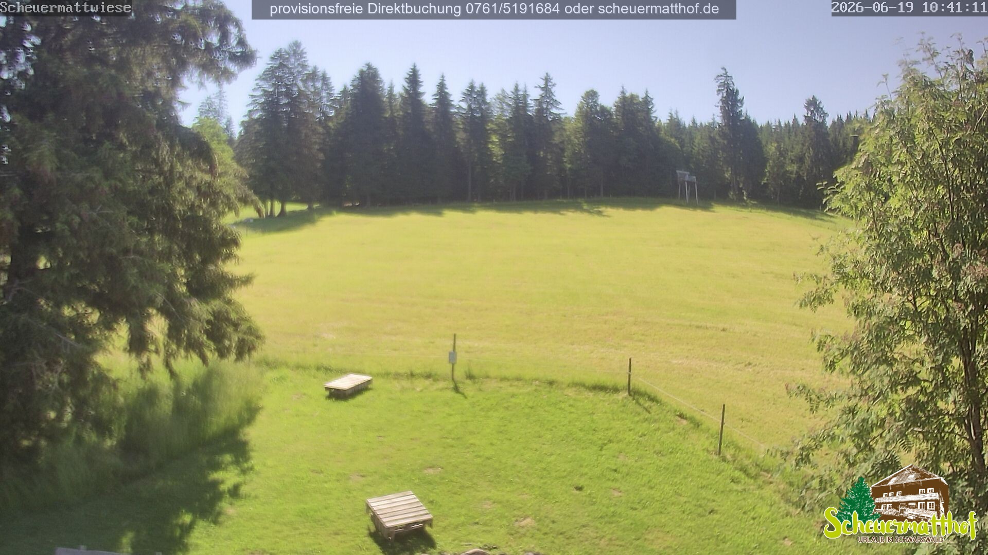 Archived image Webcam Todtnauberg - Scheuermatthof